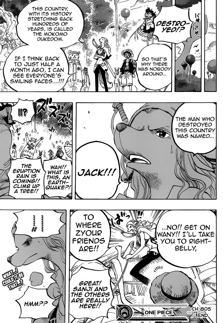 One Piece, Chapter 805 image 17